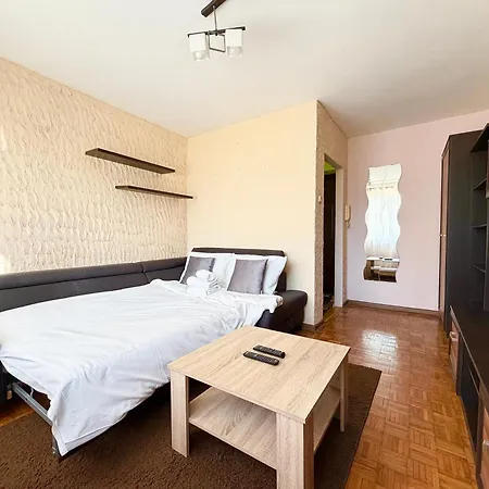 公寓 Grabiszyn Standard By Bookinghost *