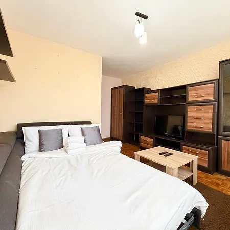 公寓 Grabiszyn Standard By Bookinghost