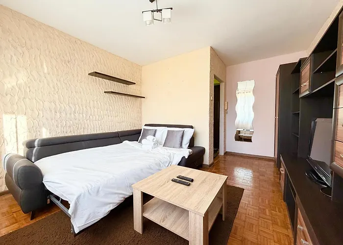 公寓 Grabiszyn Standard By Bookinghost *