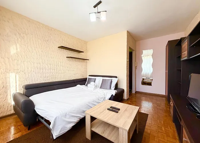 公寓 Grabiszyn Standard By Bookinghost *